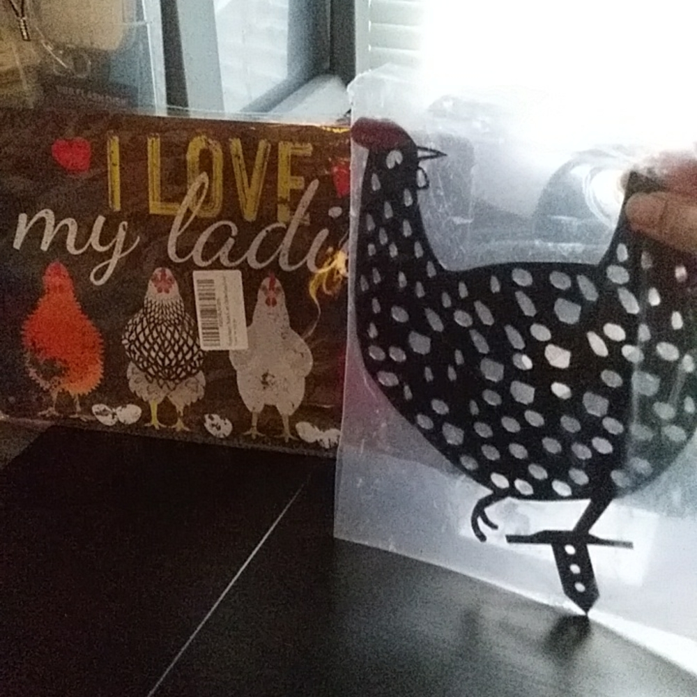 Chicken Coop Sign - I Love My Ladies + stake 8x12"